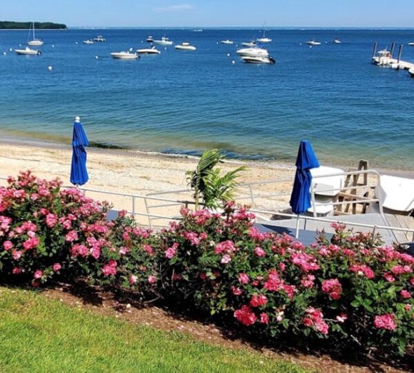 Head Of The Bay Club