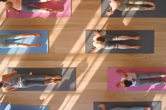 Yoga Darshana Center