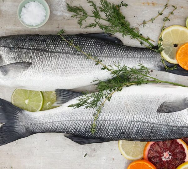 Reef Restaurant & Bar