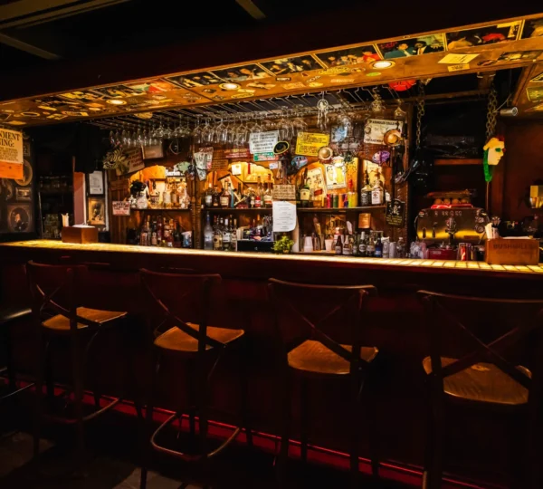 Mehanata Bulgarian Bar