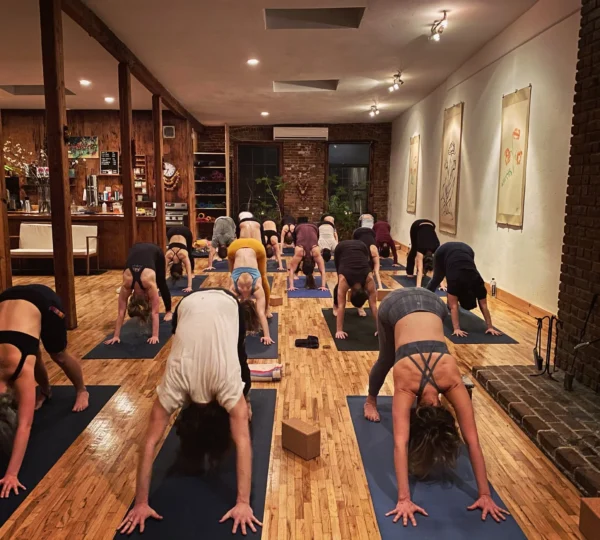New Vibe Yoga