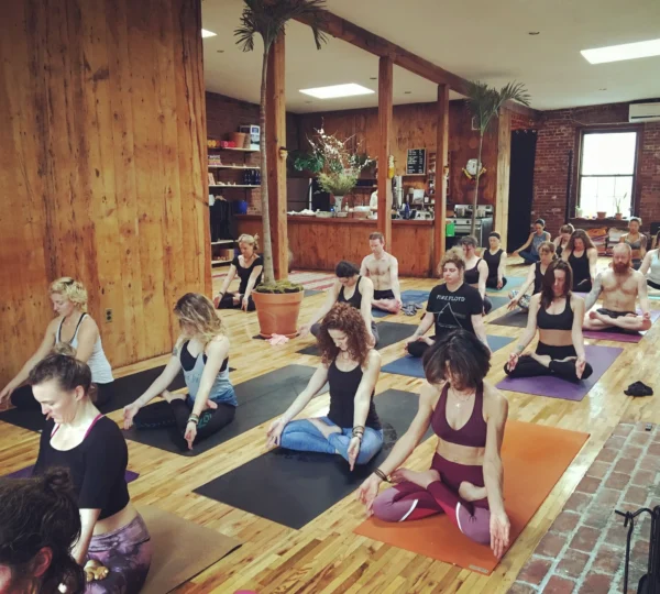 New Vibe Yoga