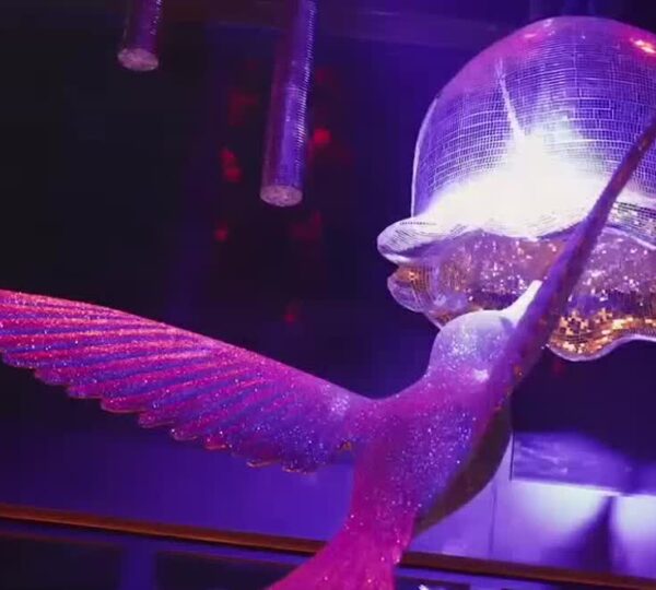 Somewhere Nowhere NYC