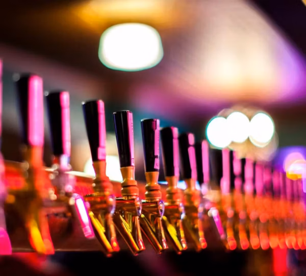 Someday Bar NYC
