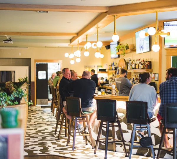 The Wayward Kitchen & Cocktails