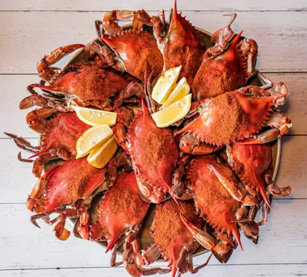 Hook & Reel Cajun Seafood & Bar