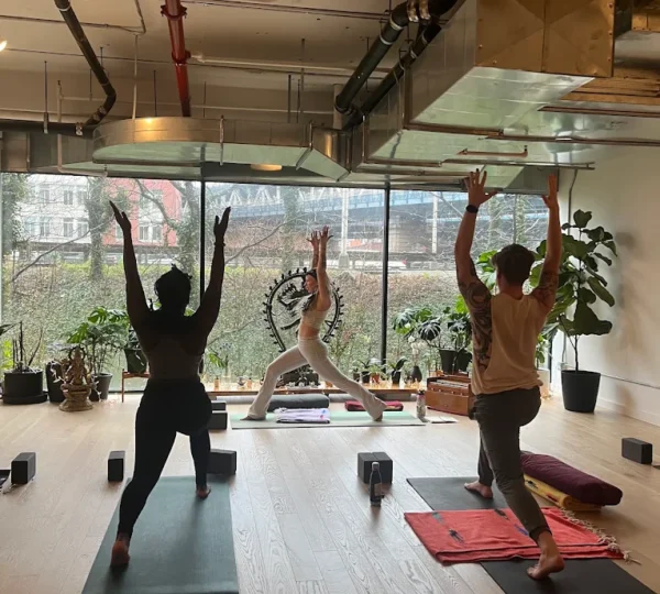 Abhaya Yoga Dumbo