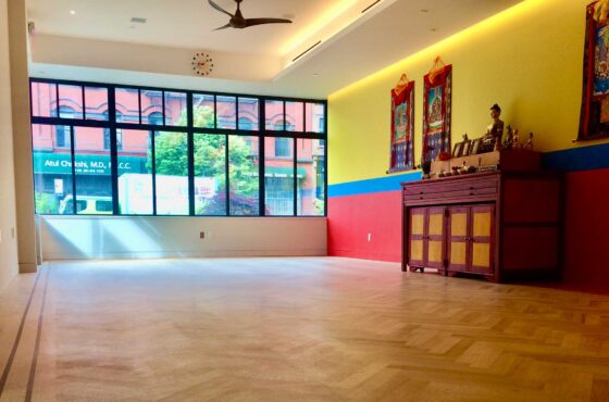 Yogis & Yoginis