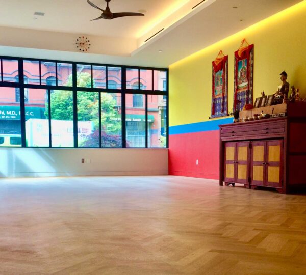 Yogis & Yoginis