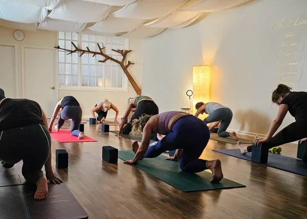 Oyster Bay Yoga