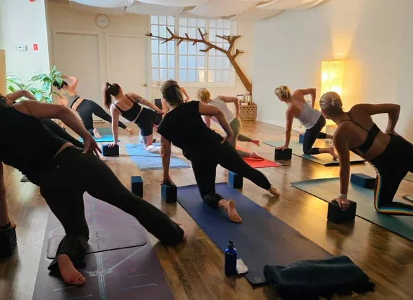 Oyster Bay Yoga