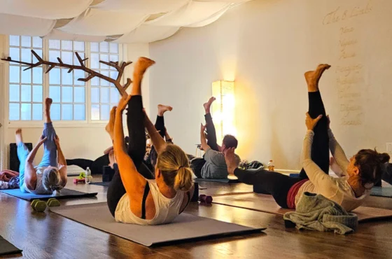 Oyster Bay Yoga