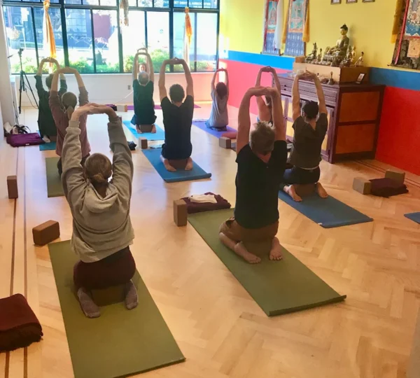 Yogis & Yoginis